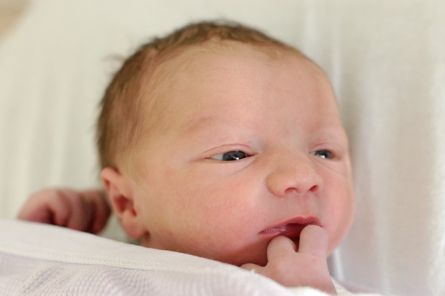 In contemplative mood after a feed